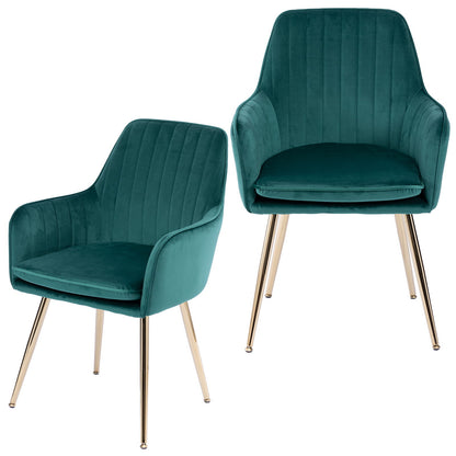 Modern Mid Back Dining Chairs