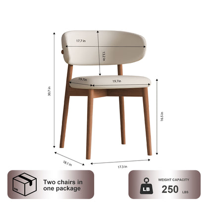 Mid-Century Modern Dining Chair (Set of 2)