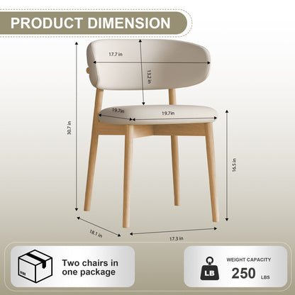 Mid-Century Modern Dining Chair (Set of 2)