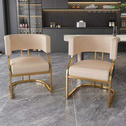 Dining Chairs Ergonomic Curved Backres (Set of 2) - Blue / Neutral